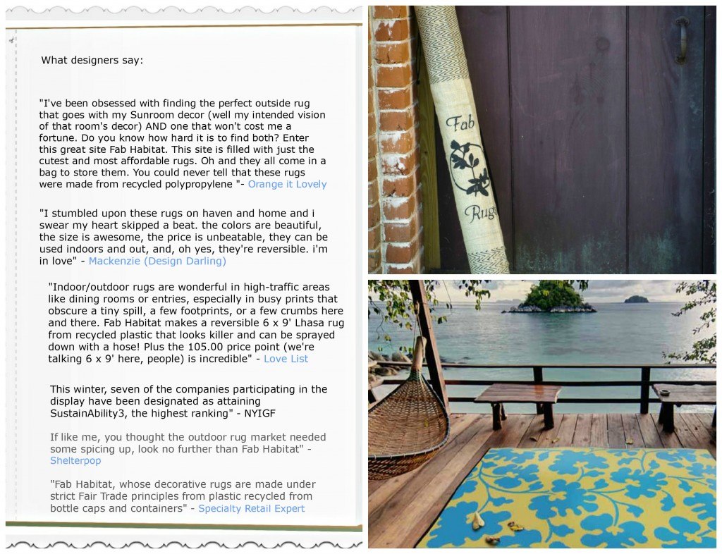 book screenshot, a dock with blue rug