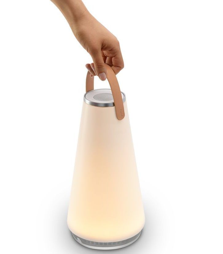 hand holding a lamp