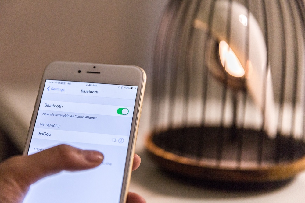 smartphone and a lamp in a cage