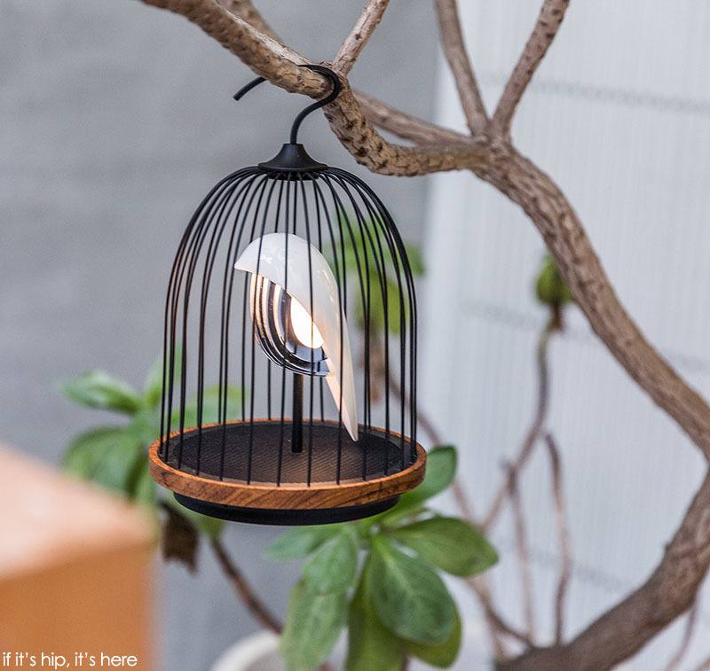 hanging lamp in a cage