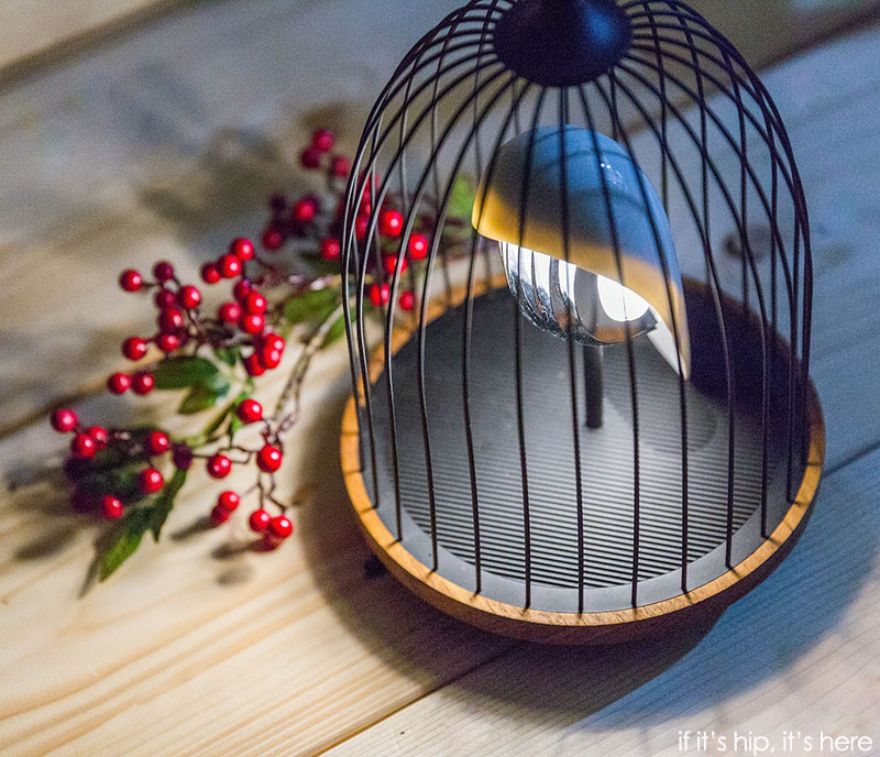 LED lamp inside a cage