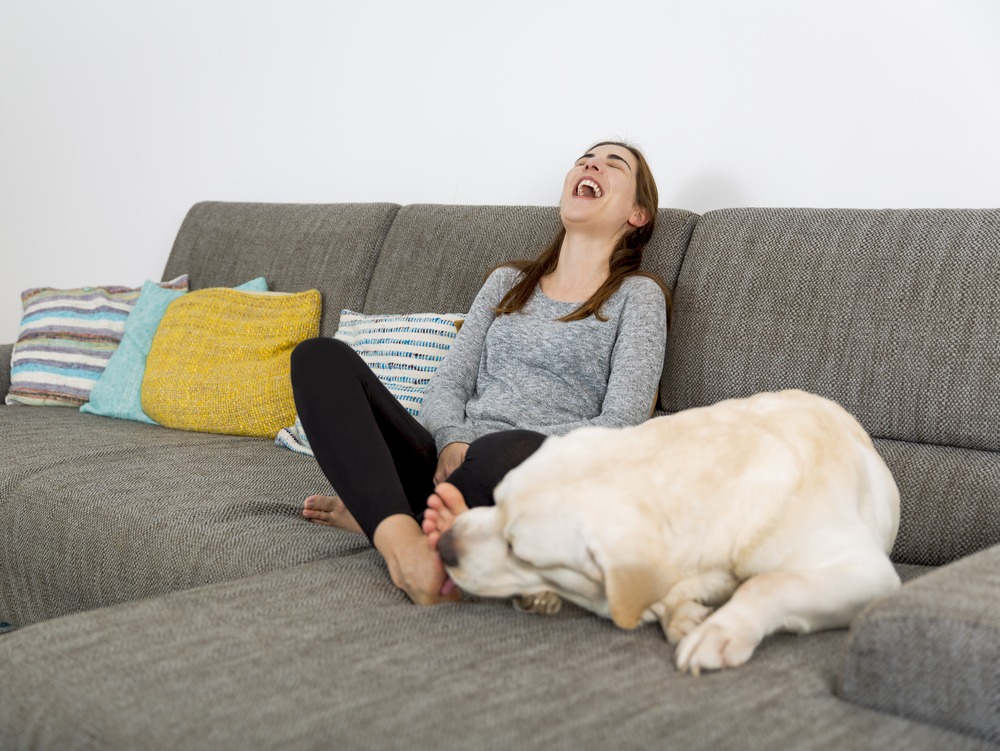 woman and a dog on couch having fun