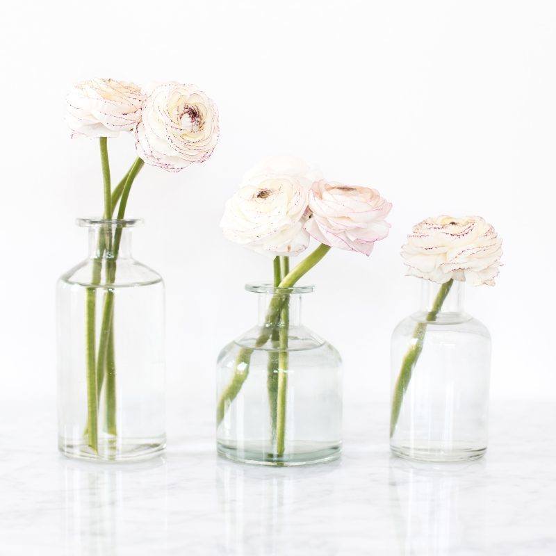 flowers in vial vases
