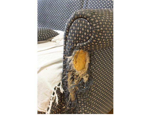 CatFriendly Sofa Fabric. Is it Bulletproof? My Decorating Tips