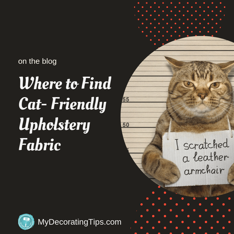 Cat Friendly Sofa Fabric Is It, Leather Or Fabric Furniture With Cats